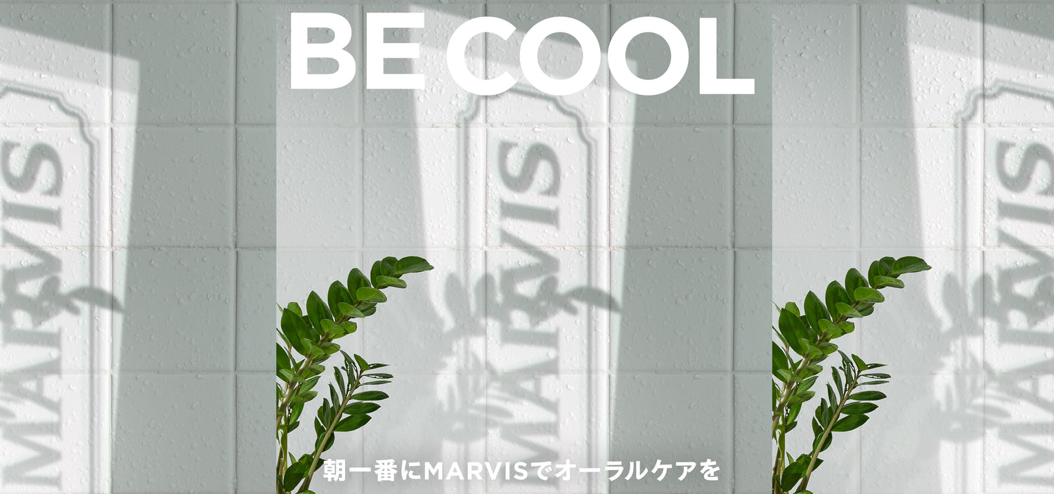 MARVIS