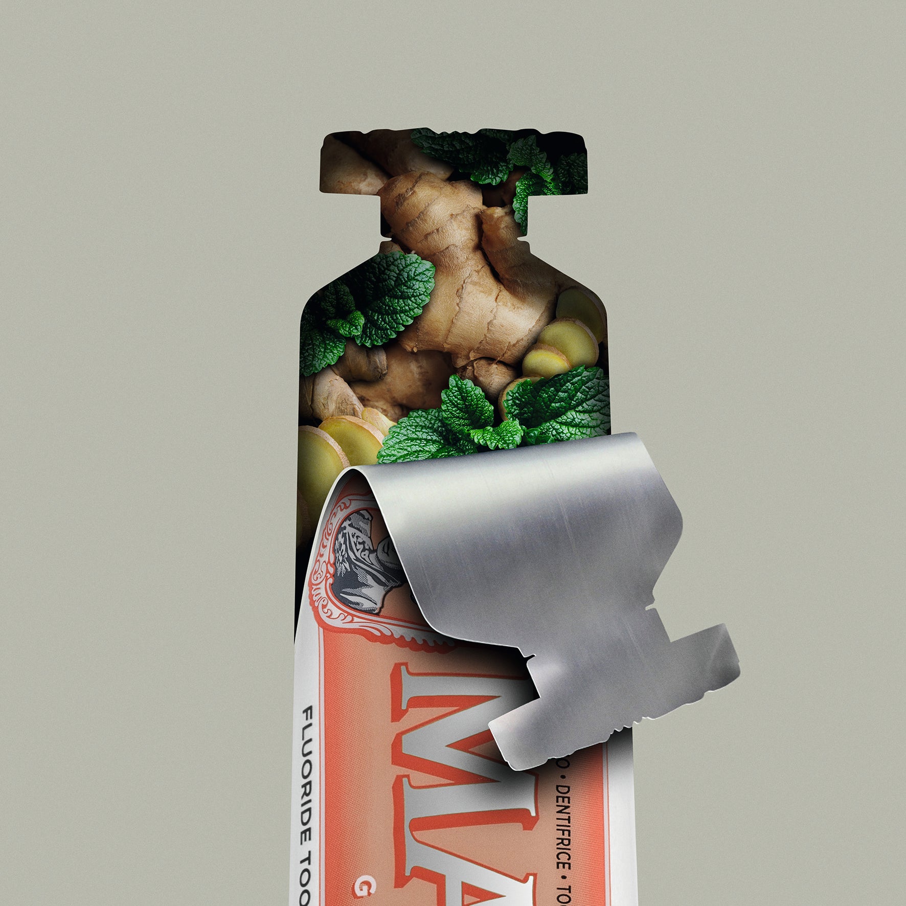 ジンジャー・ミント 25ml - MARVIS