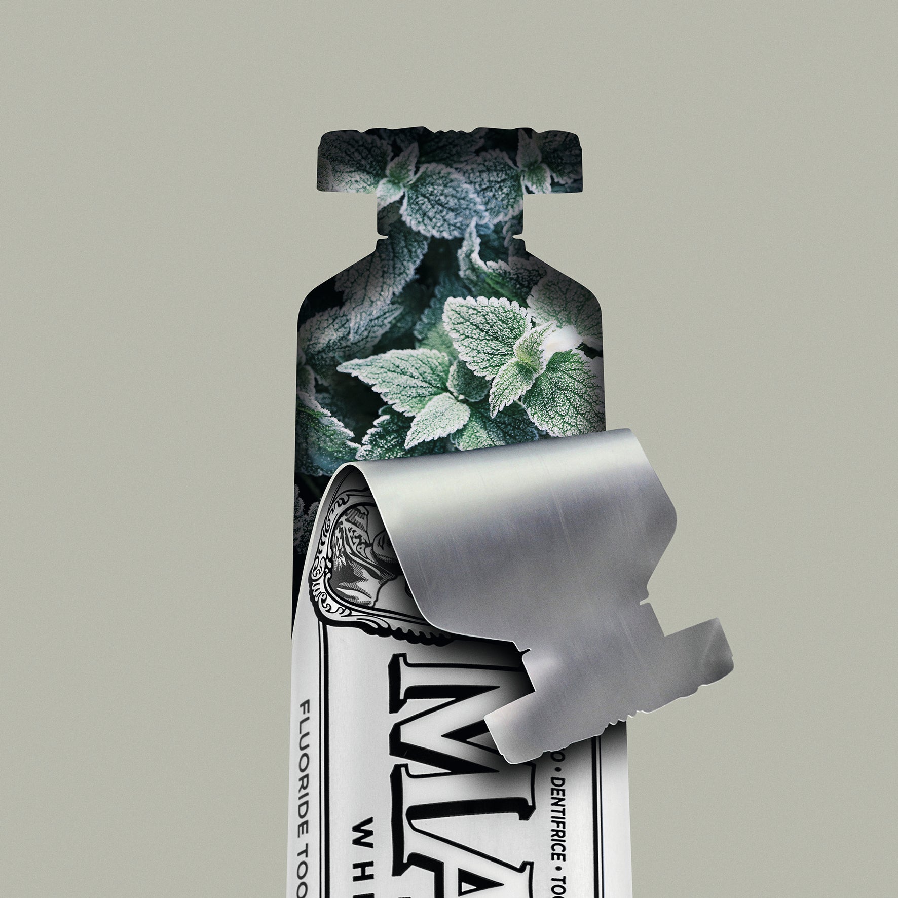 ホワイト・ミント 25ml - MARVIS